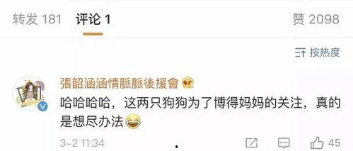 吃瓜娱乐账号起名大全最新